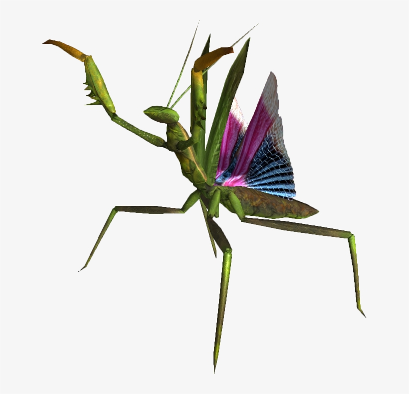 Giant Mantis Nypmh - Portable Network Graphics, transparent png download