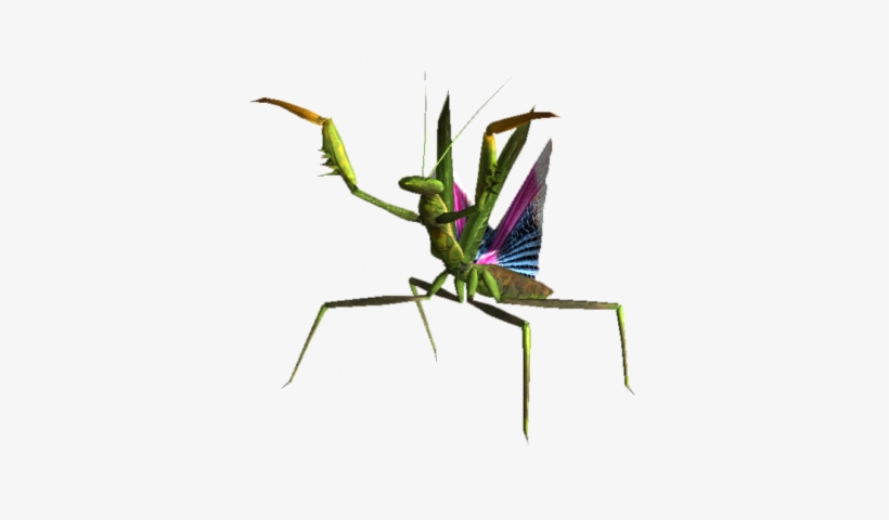Mantis, Giant - Insect, transparent png download