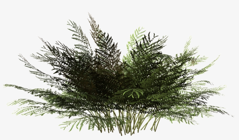 This Product Design Is Black Ink Grass Transparent - 3d Flax Plant, transparent png download