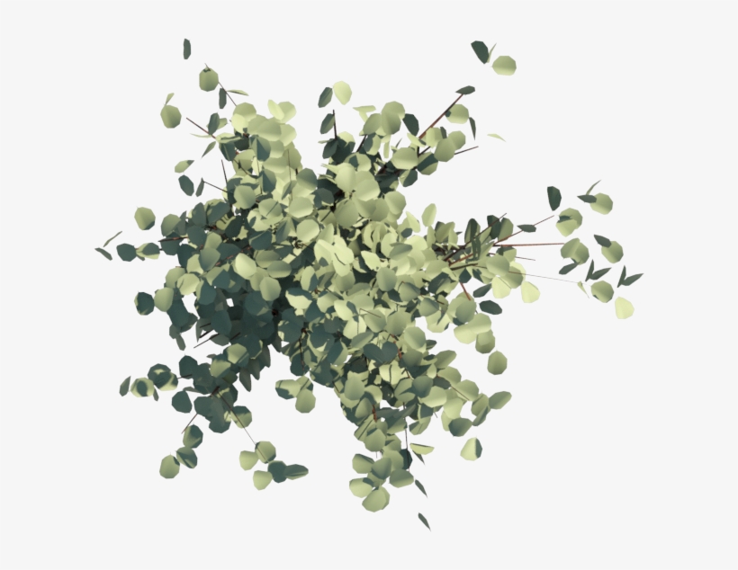 Anterior Siguiente - Artificial Flower, transparent png download