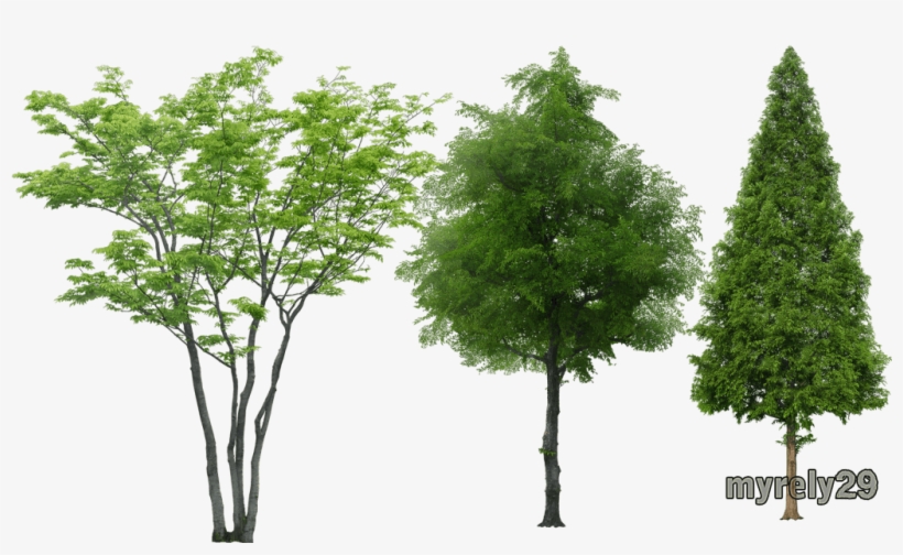 Arboles Png Photoshop - Arboles Png Para Photoshop, transparent png download