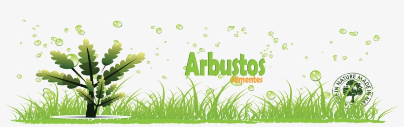 Ordenar Por Ordem Alfabética - Seed, transparent png download