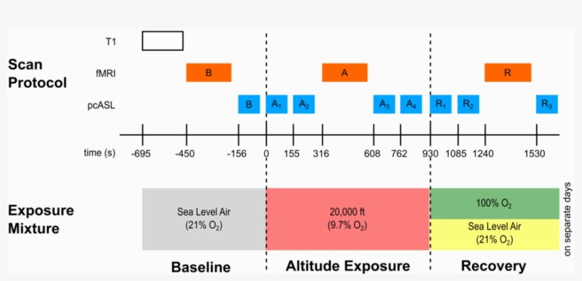 Overview Of The Experimental Sessions - Diagram, transparent png download