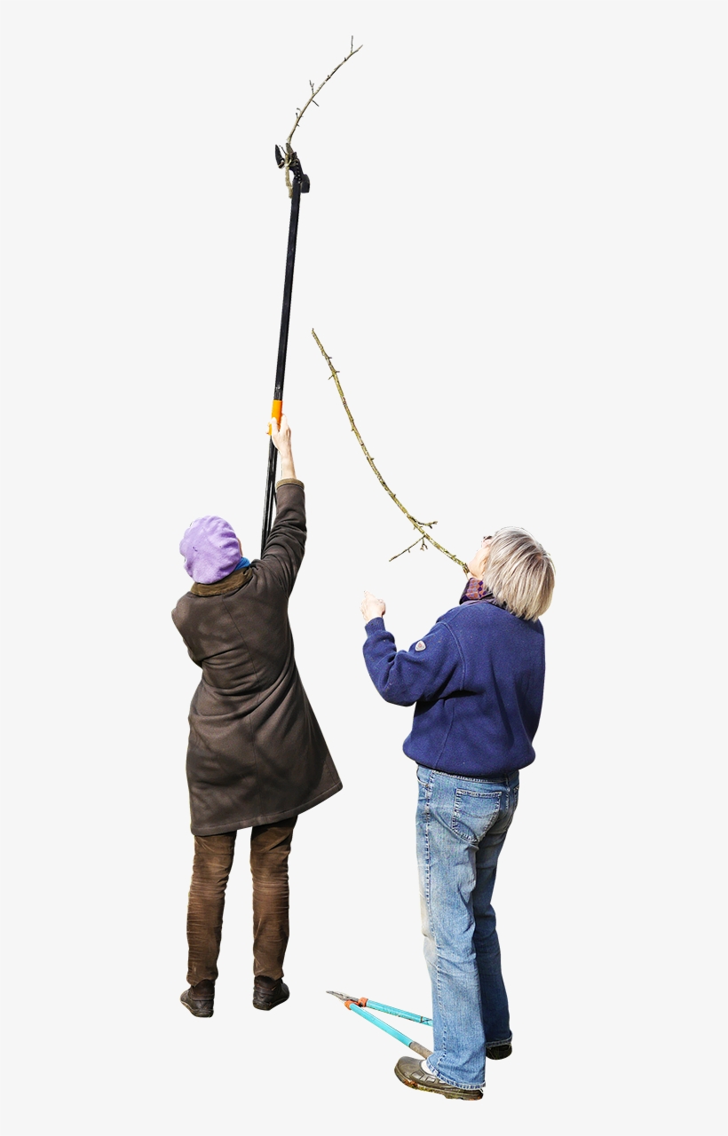 People Wall Climbing Png, transparent png download