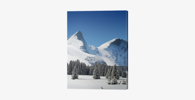 Trees Coated With Snow And High Snowy Mountains Canvas - Find His Way Home [book], transparent png download