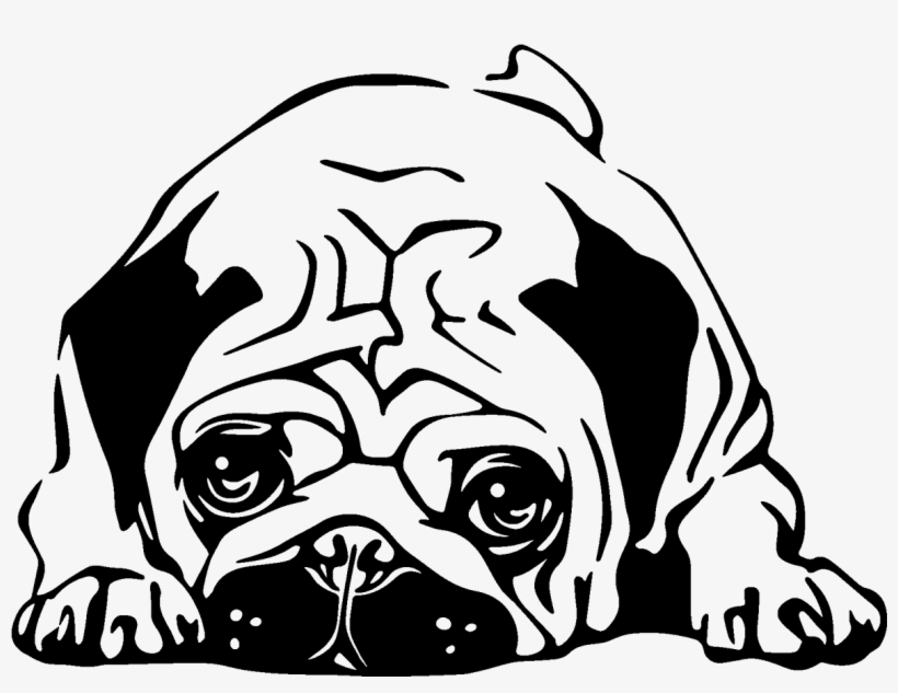 Vinilo Bulldog Cachorro - Vinilos Pug, transparent png download