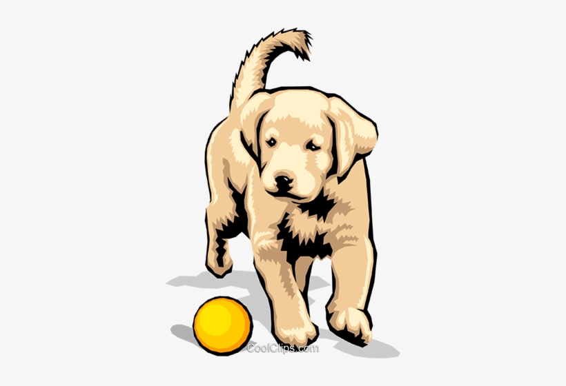 Puppy Royalty Free Vector Clip Art Illustration - Labrador-retriever1.png Shower Curtain, transparent png download