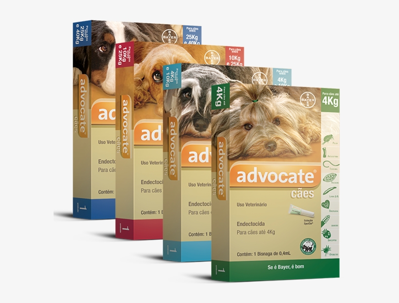 Advocate® - Bayer Dogs Advocate 21 Pip E.c 1 Ml, transparent png download