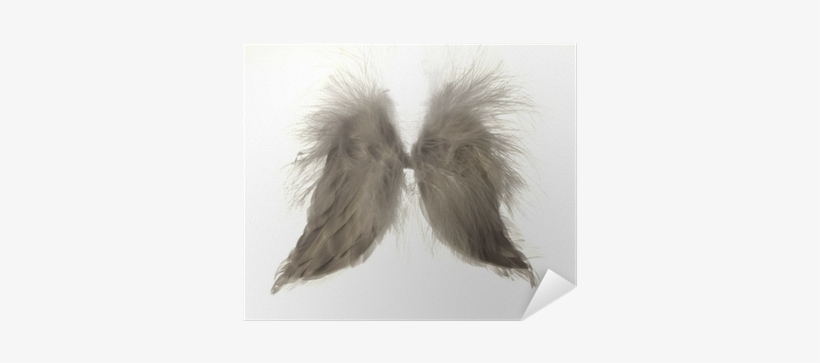 Angle, transparent png download