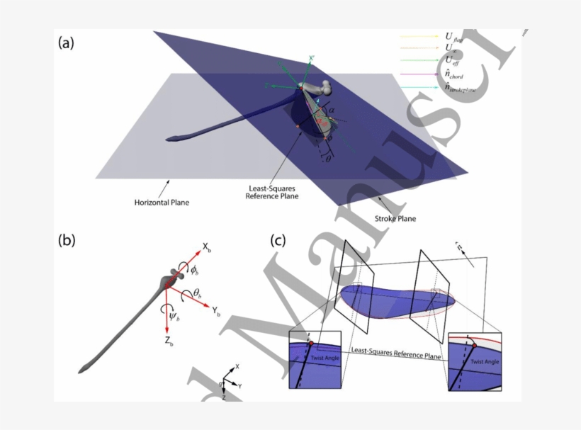 Definition Of The Kinematics Parameters - Euler Angles, transparent png download