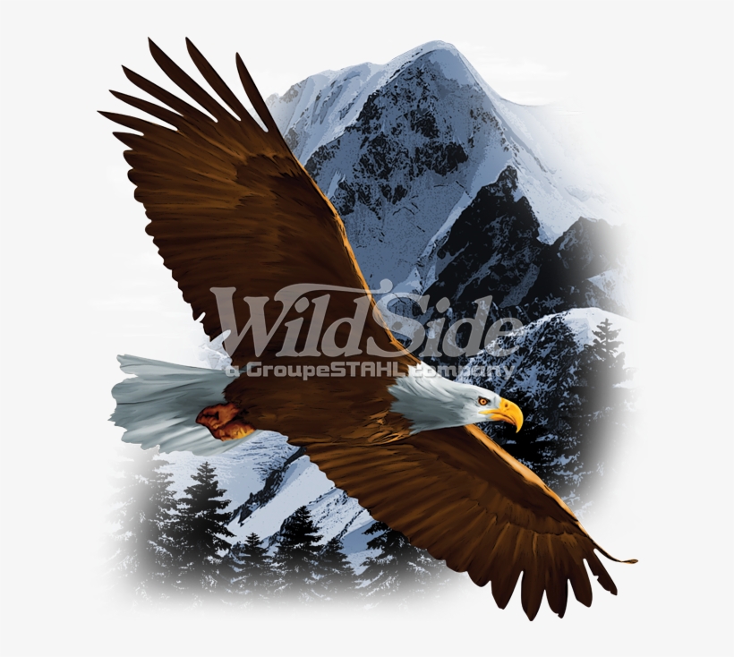 Flying Eagle Over Snow Mountain - Sweatshirt In White With Animal Nature Scene Model, transparent png download
