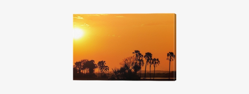 Orange Glow Sunset In A Palm Trees Landscape Canvas - Sunset, transparent png download