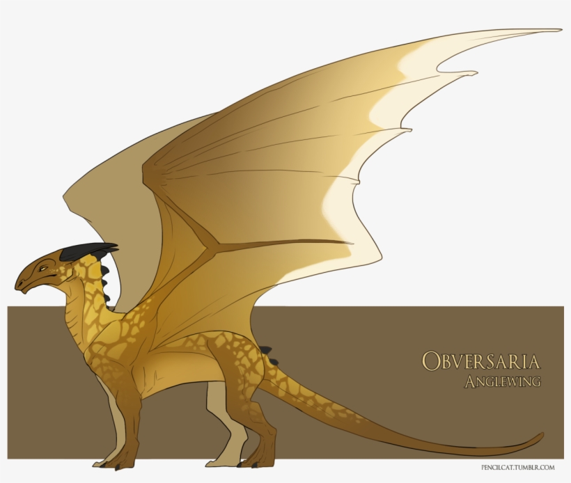 Obversaria The Anglewing I Picture Anglewings To Be - Obversaria Temeraire, transparent png download