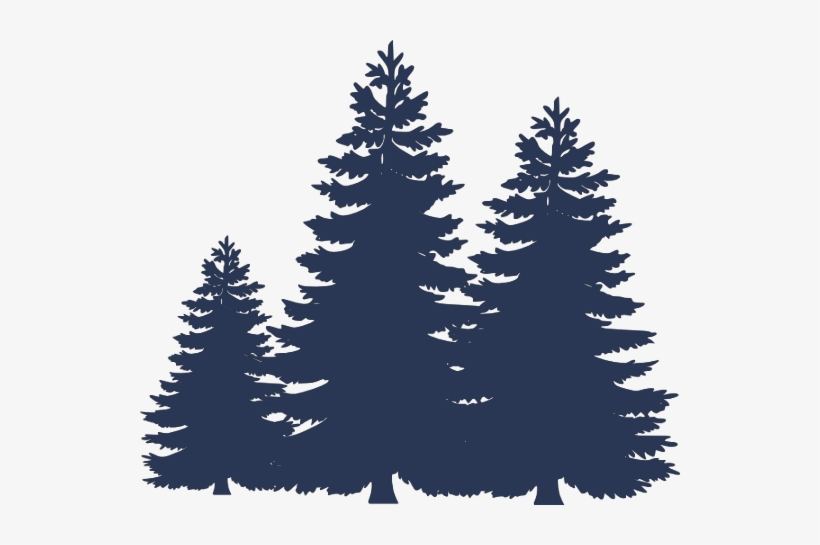 Pdbottom - Paint Fir Tree Silhouette, transparent png download