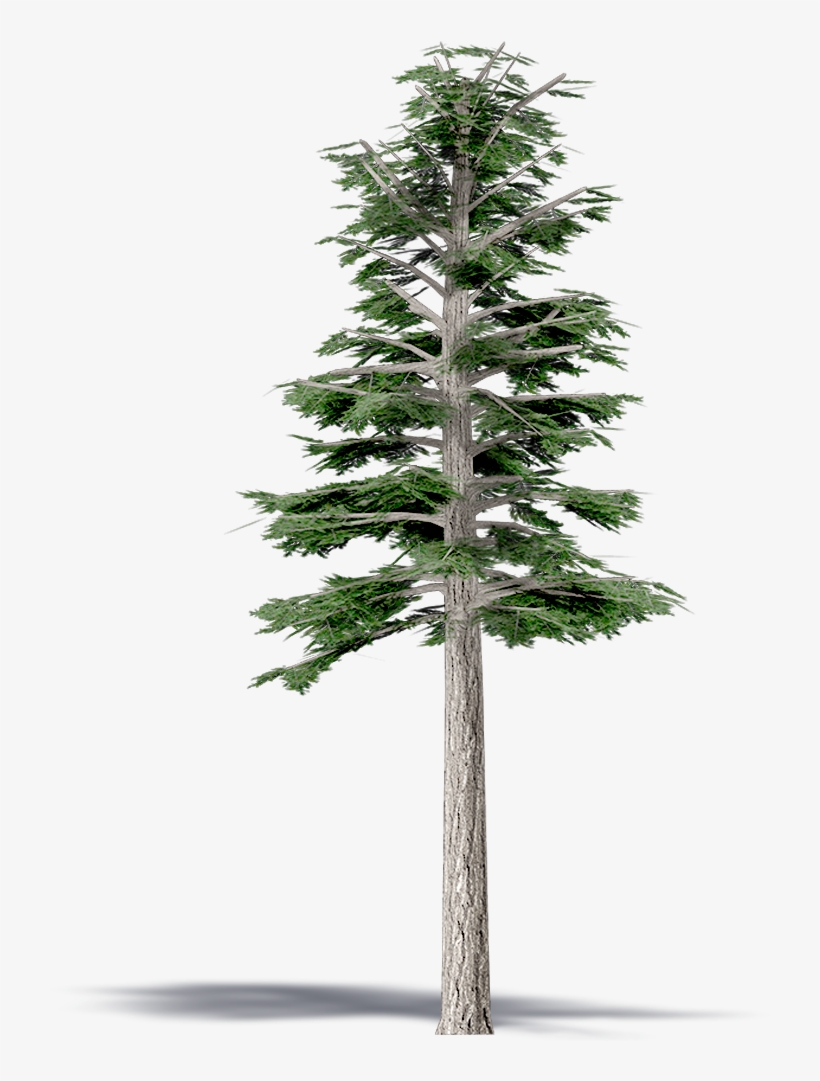 3d Viewview - Lindens, transparent png download