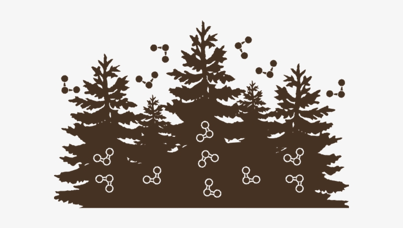 Carbonstorage@4x-2 - Black Silhouette Pine Trees, transparent png download