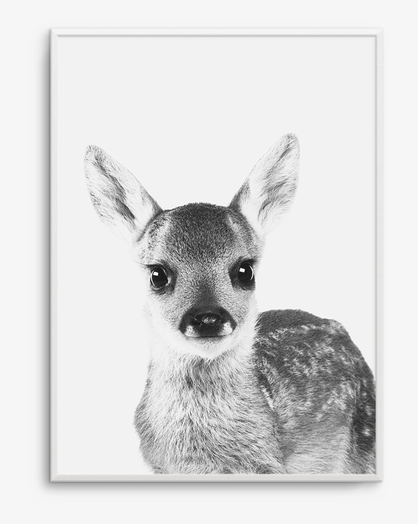 Baby Deer - Baby Deer No Background, transparent png download