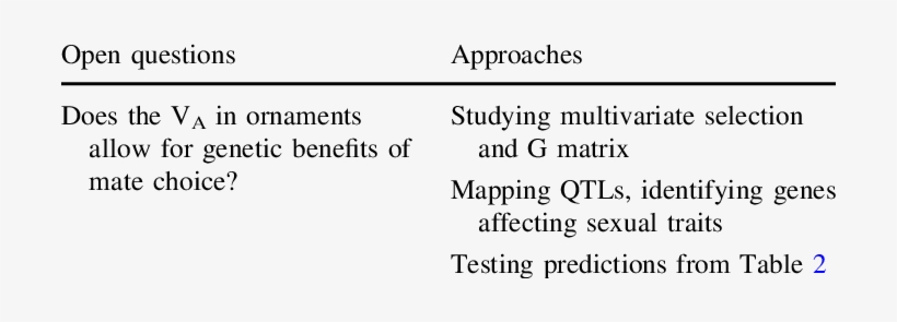 Future Directions Png Royalty Free Download - Quotes, transparent png download