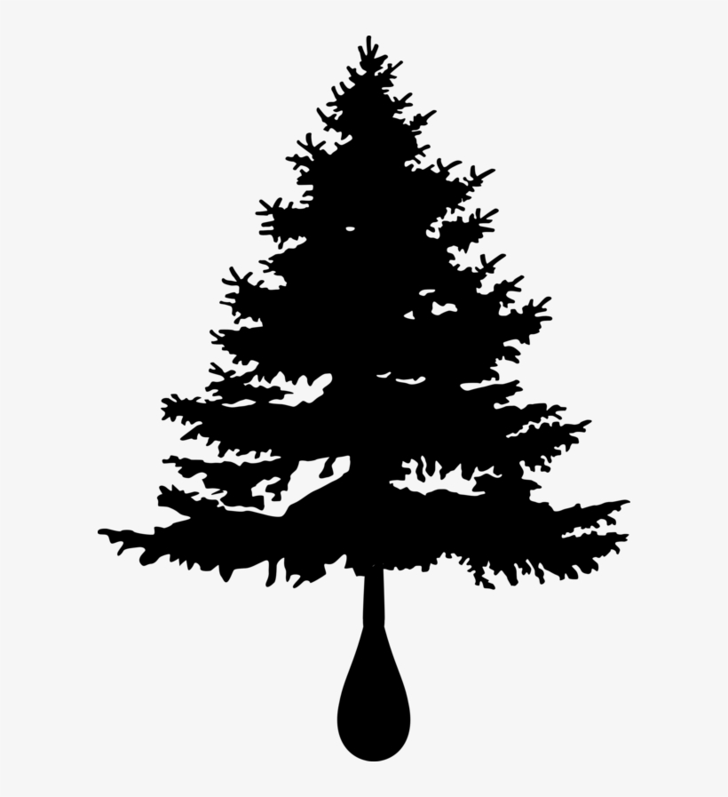 Because If You're Not Putting Those Things In Your - Bare Christmas Tree, transparent png download