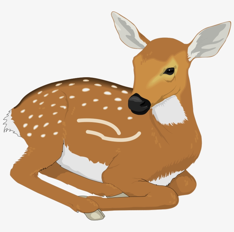 Deer Animal Clipart Pictures Royalty Free Clipart Pictures - Clip Art, transparent png download
