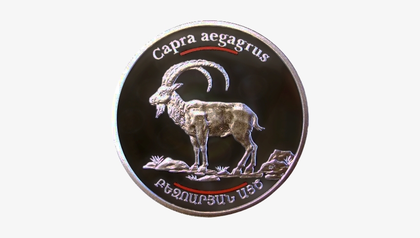 Capra Aegagrus Armenian Coin 2008 - Bezoar Ibex, transparent png download