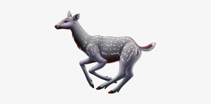 Here Is The New Baby Deer I Have Now - Reindeer, transparent png download