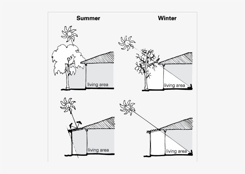 A Deciduous Tree Near The Living Area Of A House Provides - Design Strategies For Hot And Dry Climate, transparent png download
