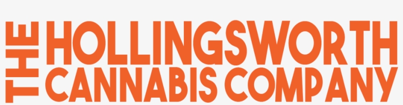 Asset 5 - Asset, transparent png download