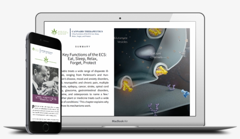 Nw Lp Pic - Portable Network Graphics, transparent png download