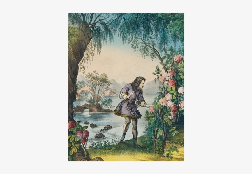 Sleeping Beauty - Bower Of Roses - 1907 11 Oz Ceramic Mug, transparent png download