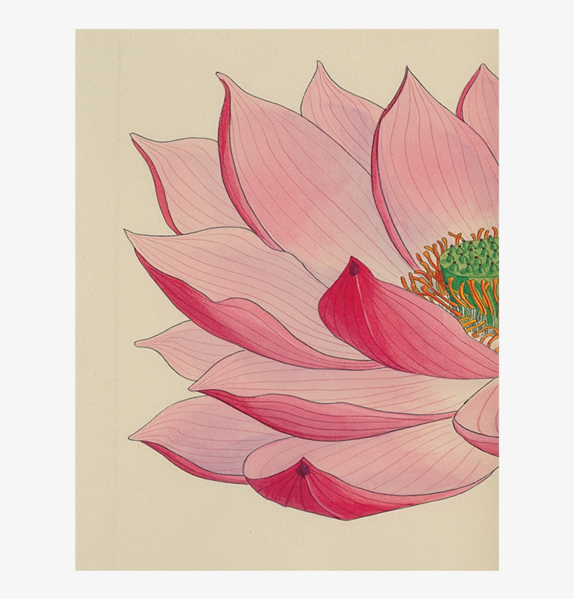 Watercolor Pink Flowers And Eiffel Tower Kitchen Or - Protea, transparent png download