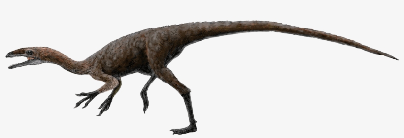 Free To Use & Public Domain Dinosaur Clip Art - Coelurosaurs, transparent png download