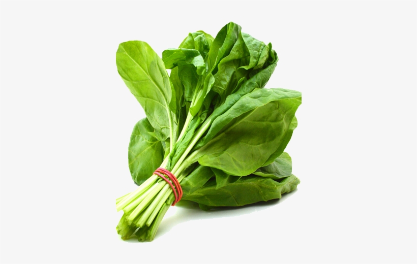 Spinach Png Free Download - Spinach Vegetable, transparent png download