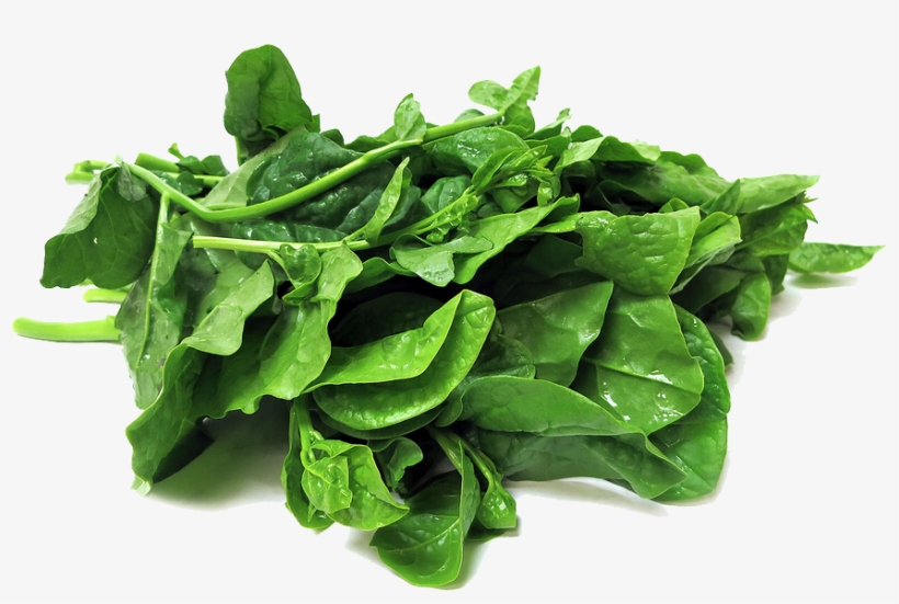 Spinach Transparent Png - Basil Leaf, transparent png download