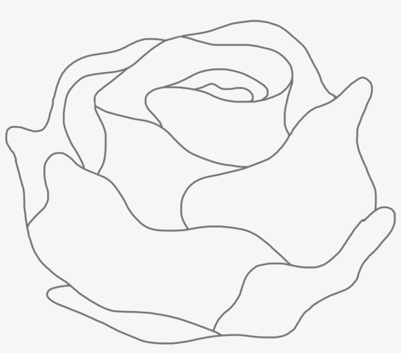 Rose, transparent png download