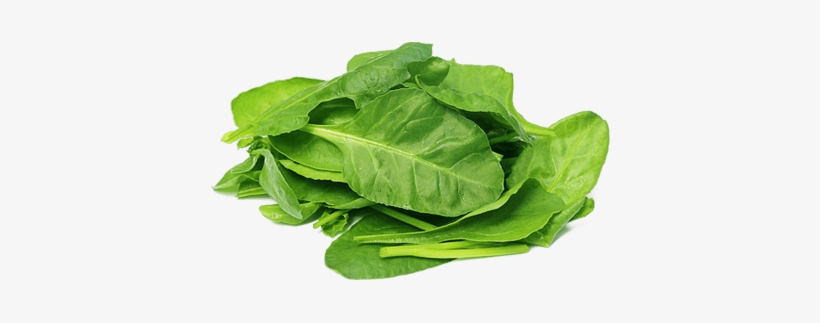 Spinach Powder - Organic 5 Lbs, transparent png download