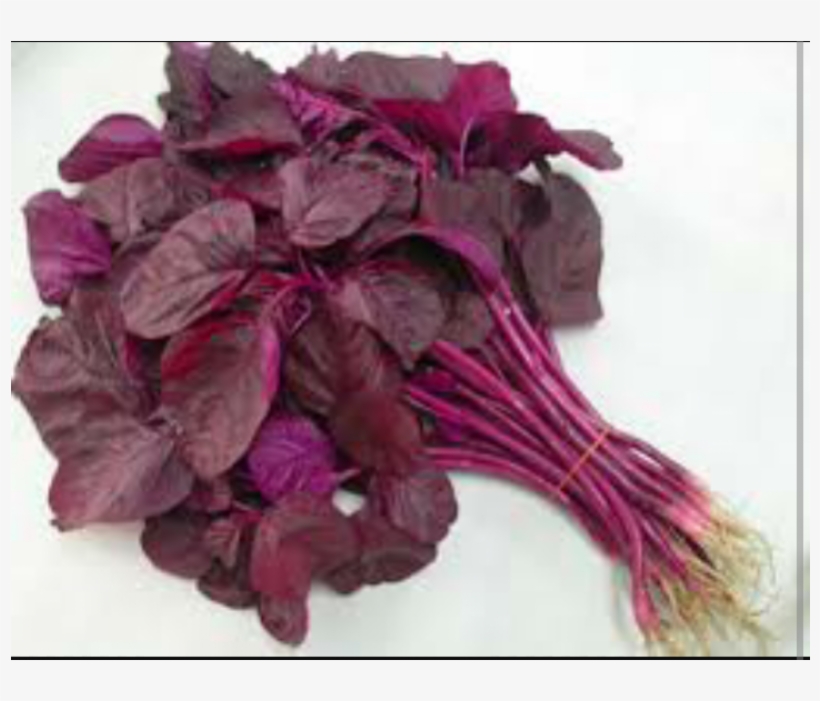 Red Spinach, transparent png download