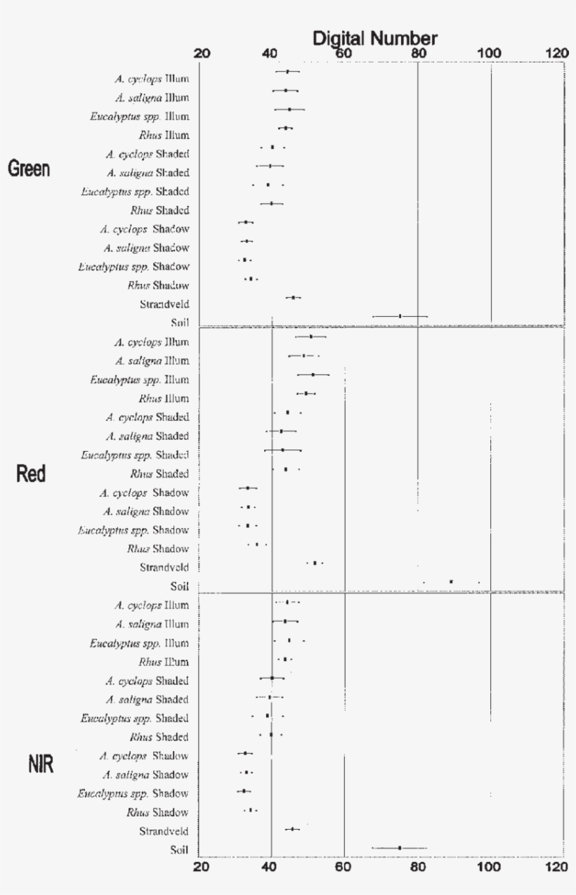 Coincident Spectral Plot Illustrating Spectral Signatures - Document, transparent png download