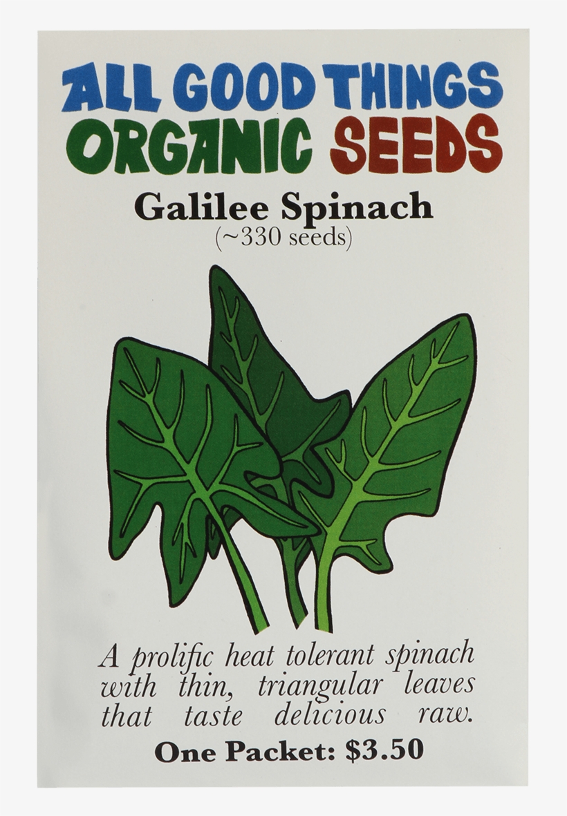 Galilee Spinach - Lettuce, transparent png download