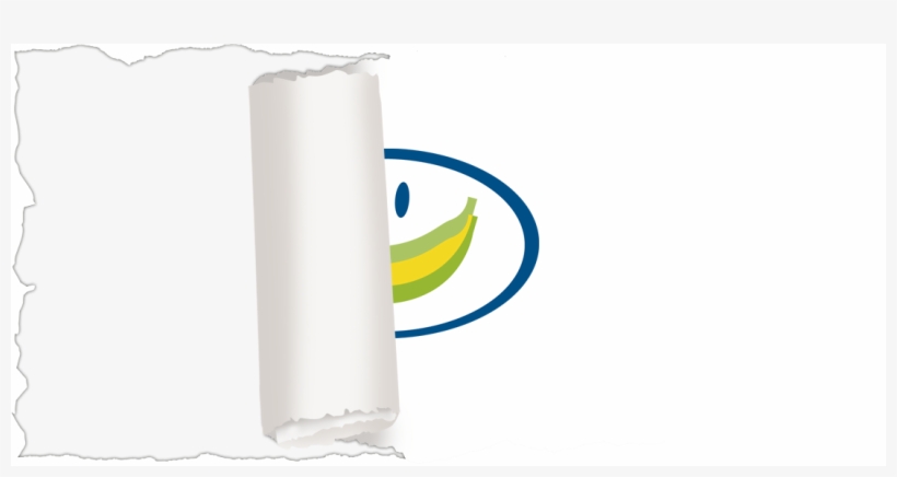 Papel Rasgado Papel Rasgado Papel Rasgado Papel Rasgado - Paper, transparent png download