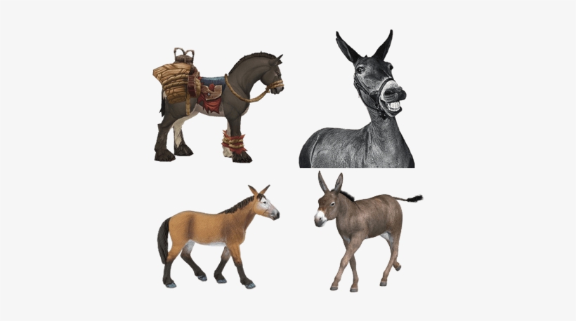 Mules - Wow Terrified Pack Mule, transparent png download