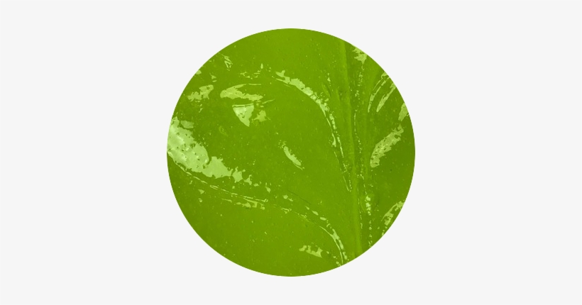 Green Apple Jolly Rancher - Illustration, transparent png download