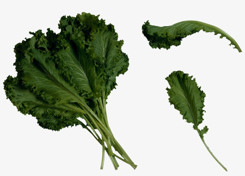 Kale Transparent Clipart - Mustard Greens, transparent png download