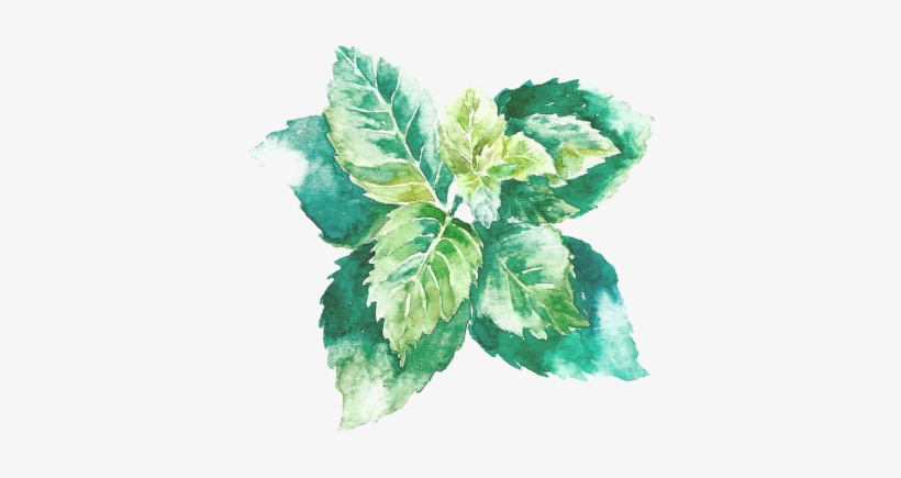 Escribinos - Object Drawing With Watercolor, transparent png download