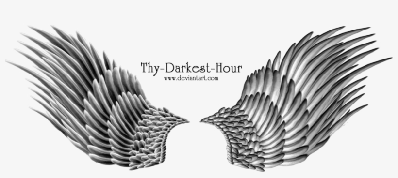 Silver Angel By Thy - Black And Silver Angel Wings, transparent png download