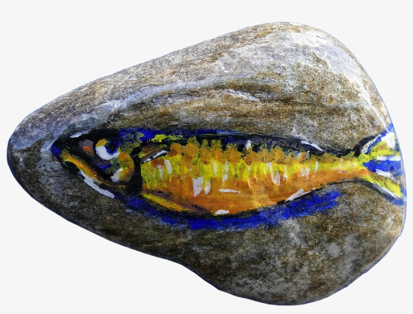 Pebble, Painting, Fish, Colorful, Art, Drawing, Painted, transparent png download