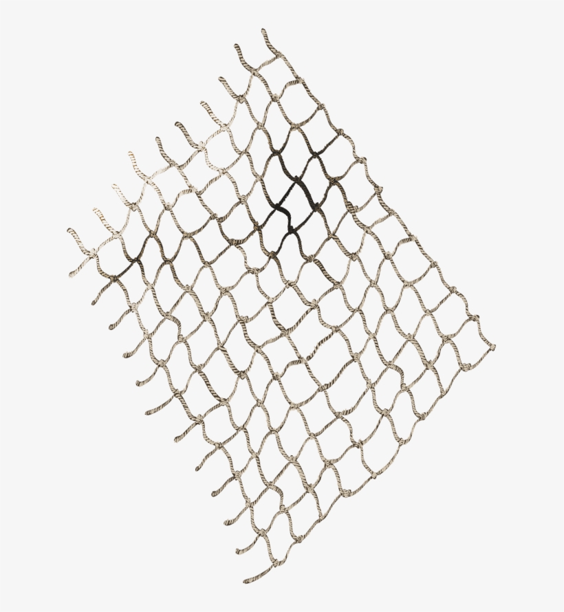 Vector Royalty Free Library Png For Free Download On - Png Net, transparent png download