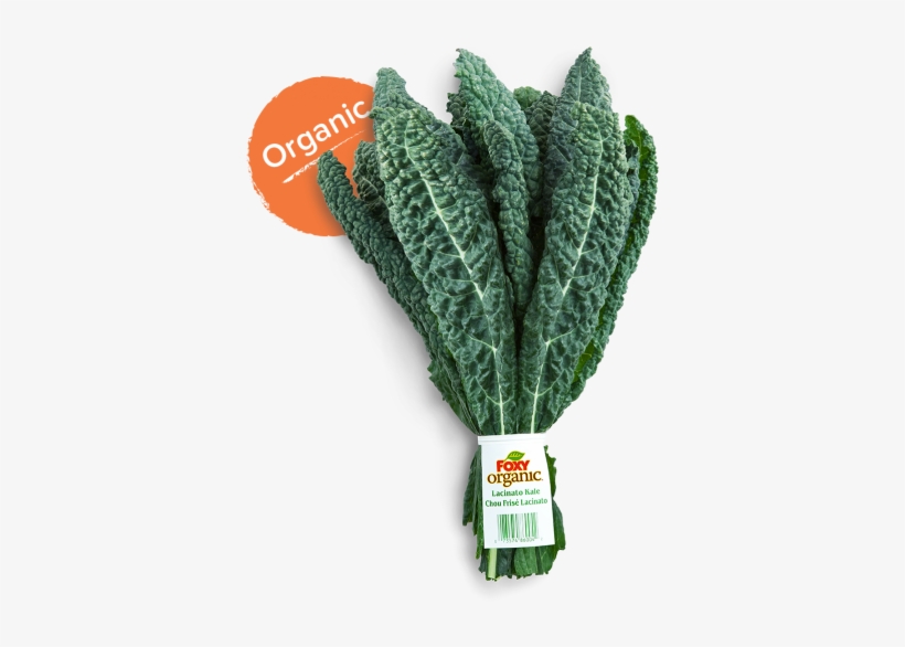 While Shopping, Choose Crisp, Blue Green Small To Medium - Lacinato Kale, transparent png download