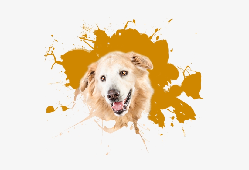 Chateau La Paws - Gonobikerreas, transparent png download