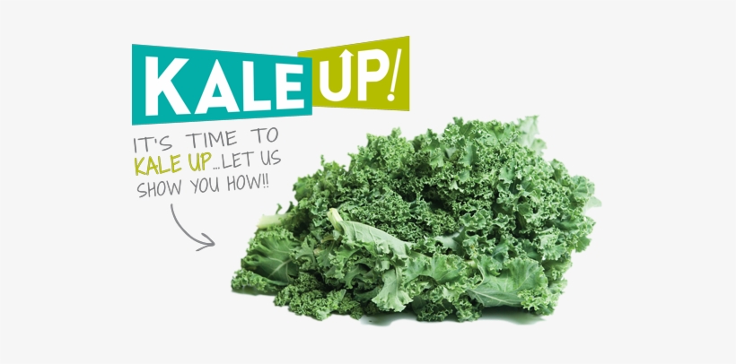 It's Time To Kale Up - Cruciferous Vegetables, transparent png download